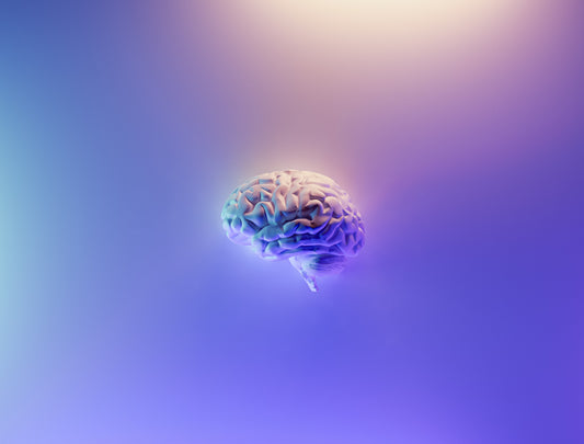 The Flow State: How To Use It to Effectively Read